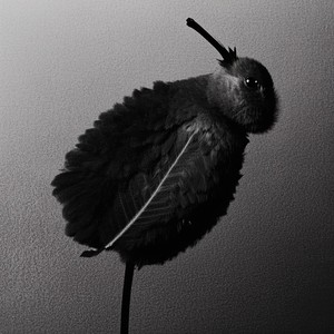 The Prison Gate That Set Him Free