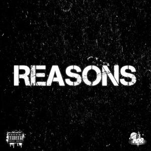 Reasons (Explicit)