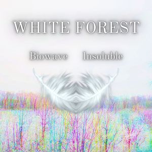 White Forest