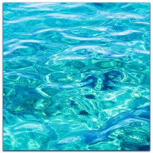 TRANSLUSCENT! (feat. Clearlyyy) (Explicit)