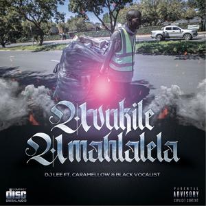 Uvukile Umahlalela (feat. Dj lee & Blaq vocalist)