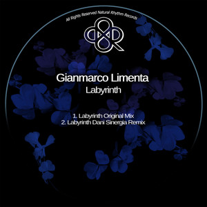 Labyrinth (Dani Sinergia Remix)
