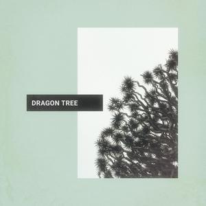 Dragon Tree