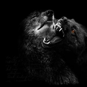 Gortex - DRIFT NIGHTMARE