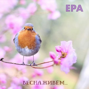 Весна, живём…