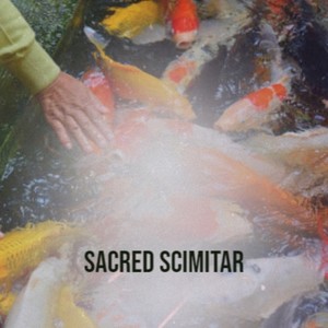 The Mystical Forest and the Moon