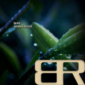 Mamba Negra (Original Mix)