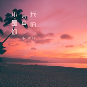 我怕来者不是你 (女声版)