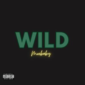 Wild (Explicit)