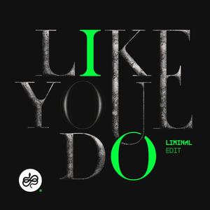 Like You Do (feat. HOM)