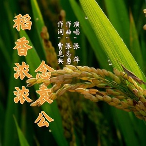 稻香浓浓念袁公