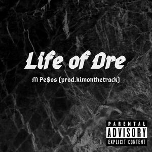 Life of Dre (Explicit)