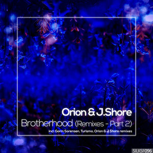 Fifteen (Orion & J.Shore Remix)