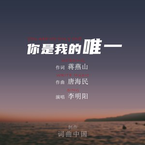你是我的唯一