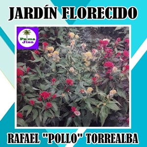 Jardín Florecido