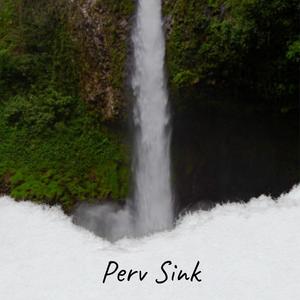 Perv Sink