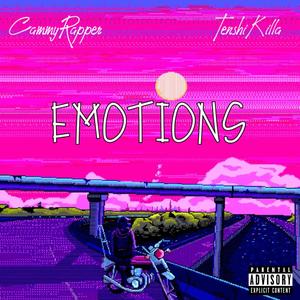 Emotions (Explicit)