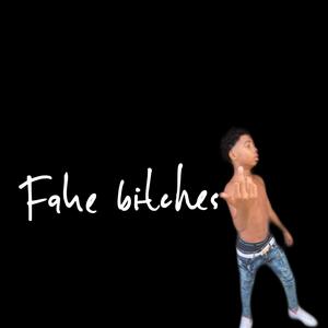 Fake *****es (Explicit)