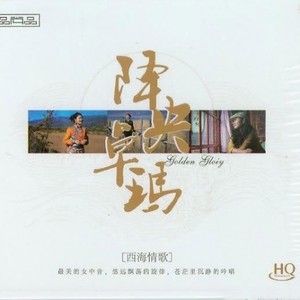 雨中飘荡的回忆封面