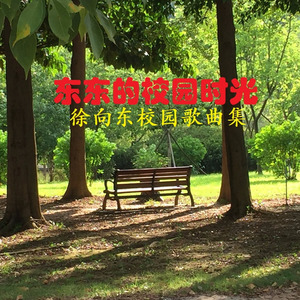 家乡门前那棵小树 (对唱版)