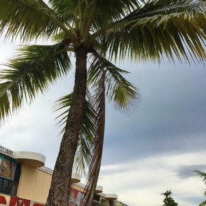 Tell Me What You Want