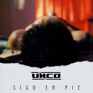 Sigo En Pie