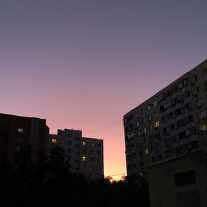лютики