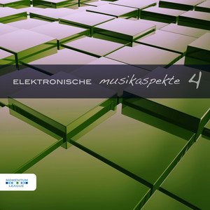 Elektronische Musikaspekte, Vol. 4