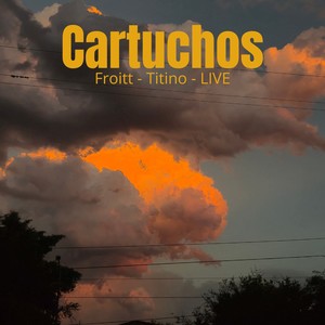 Cartuchos