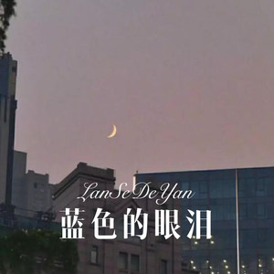 老许 - 蓝色的眼泪 (Remix)