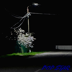 Pop Star (Explicit)