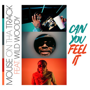 Can You Feel It (feat. Wild Woody) [Explicit]