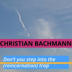 Don't You Step into the (Reincarnation) Trap