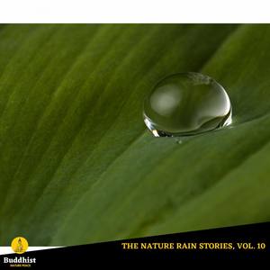 The Nature Rain Stories, Vol. 10