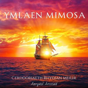 Pwy All Weld Bai (feat. Glain Rhys)