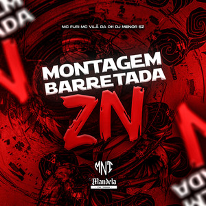 Montagem Barretada Zn (Explicit)