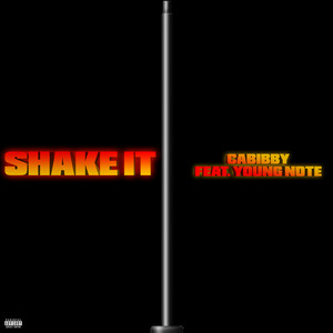 Shake It (Explicit)