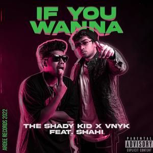 If You Wanna (feat. VNYK & Shahi) [Explicit]