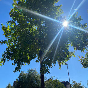 blauer himmel (Explicit)