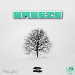 BREEZE (Explicit)