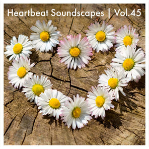 Heartbeat Soundscapes, Vol. 45