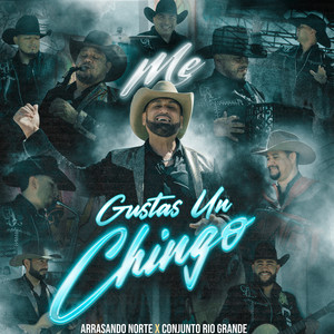 Me Gustas Un Chingo