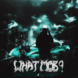 WHAT MOB ? (feat. TRAPP DANNY, DA D3 & ELIBEENDOINGIT) (Explicit)