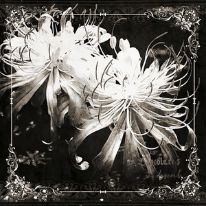 Big City Blues (Spanish Version)