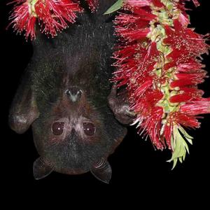 By My Side (feat. Breezy YhungN) (Explicit)