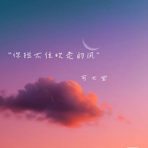 可不可以慢一点忘记我