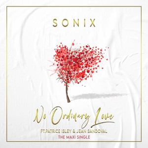 No Ordinary Love: The Maxi Single
