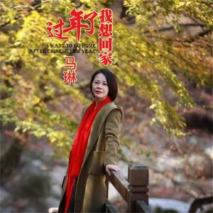 过年了我想回家