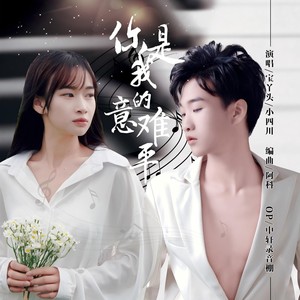 你是我的意难平