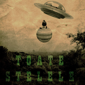 Toate Stelele